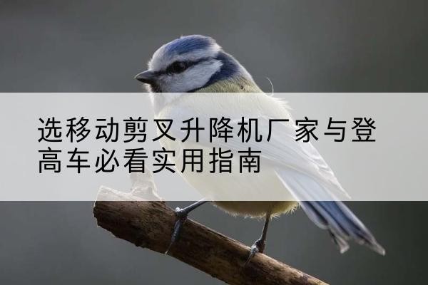 南宫电动升降机厂家-选移动剪叉升降机厂家与登高车必看实用指南