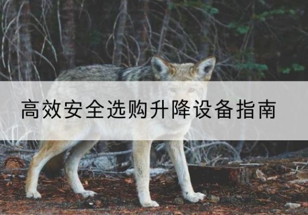 南宫升降货梯厂家推荐-*安全选购升降设备指南
