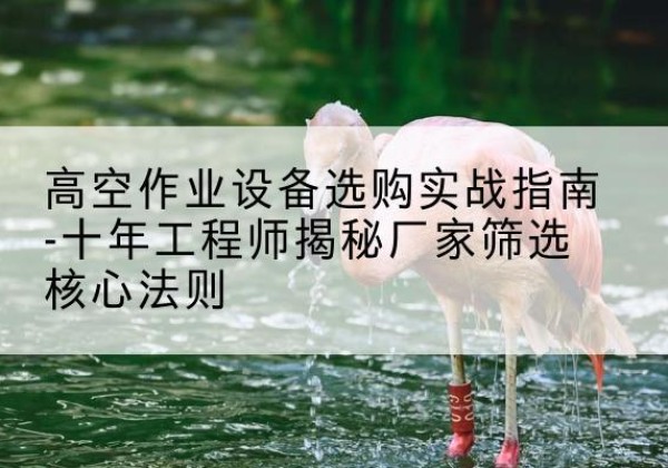 南宫剪叉式升降机厂家-高空作业设备选购实战指南-十年工程师揭秘厂家筛选核心法则